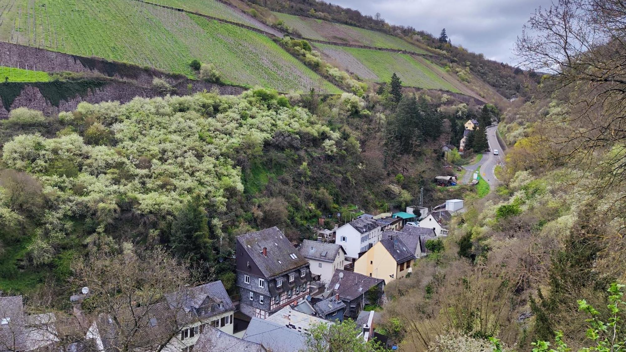 Direkt Am Rhein Mit Burgblick Nahe Rheinsteig Bis 8 Personen, 2 Baeder, 4 Zimmer, Kueche, Netflix Apartamento Kaub Exterior foto